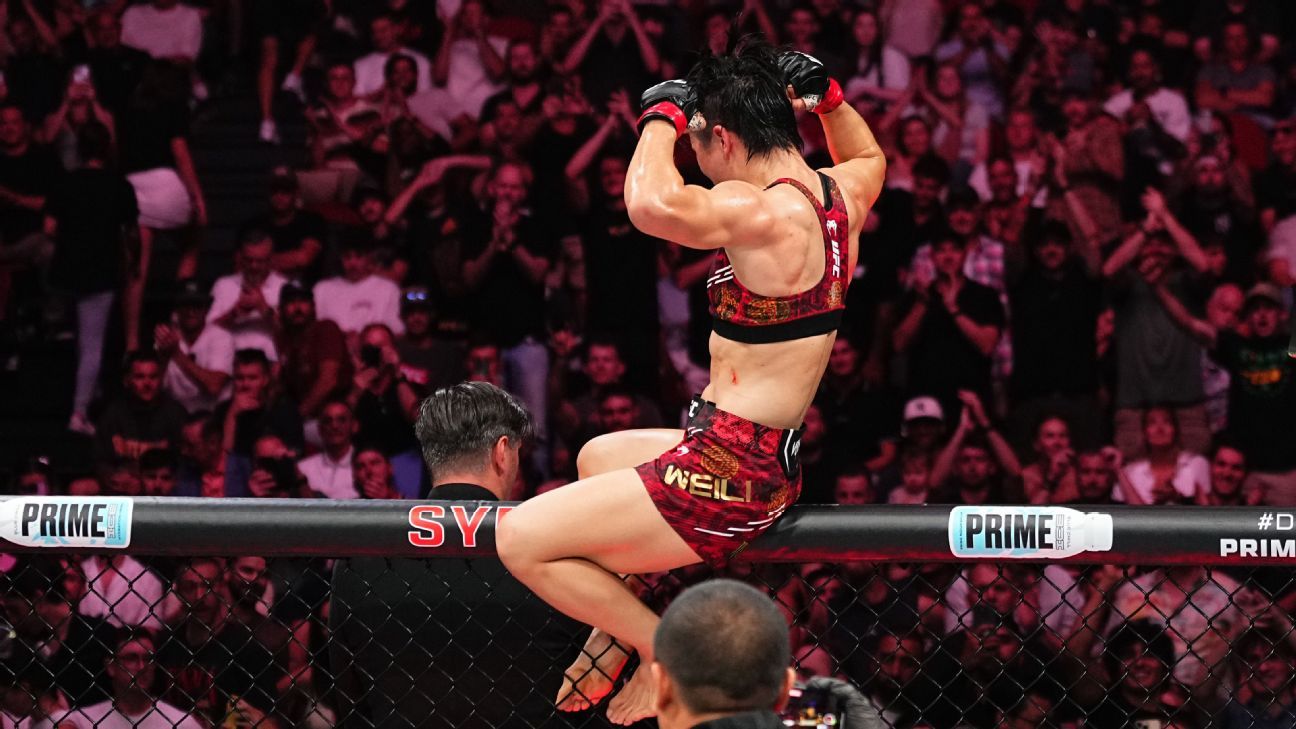 香港的多元 香港的多元