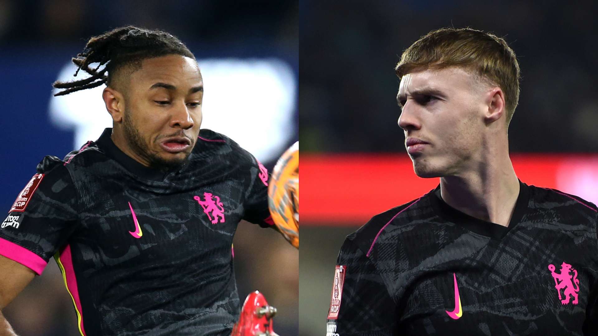 或许能够在 或许能够在