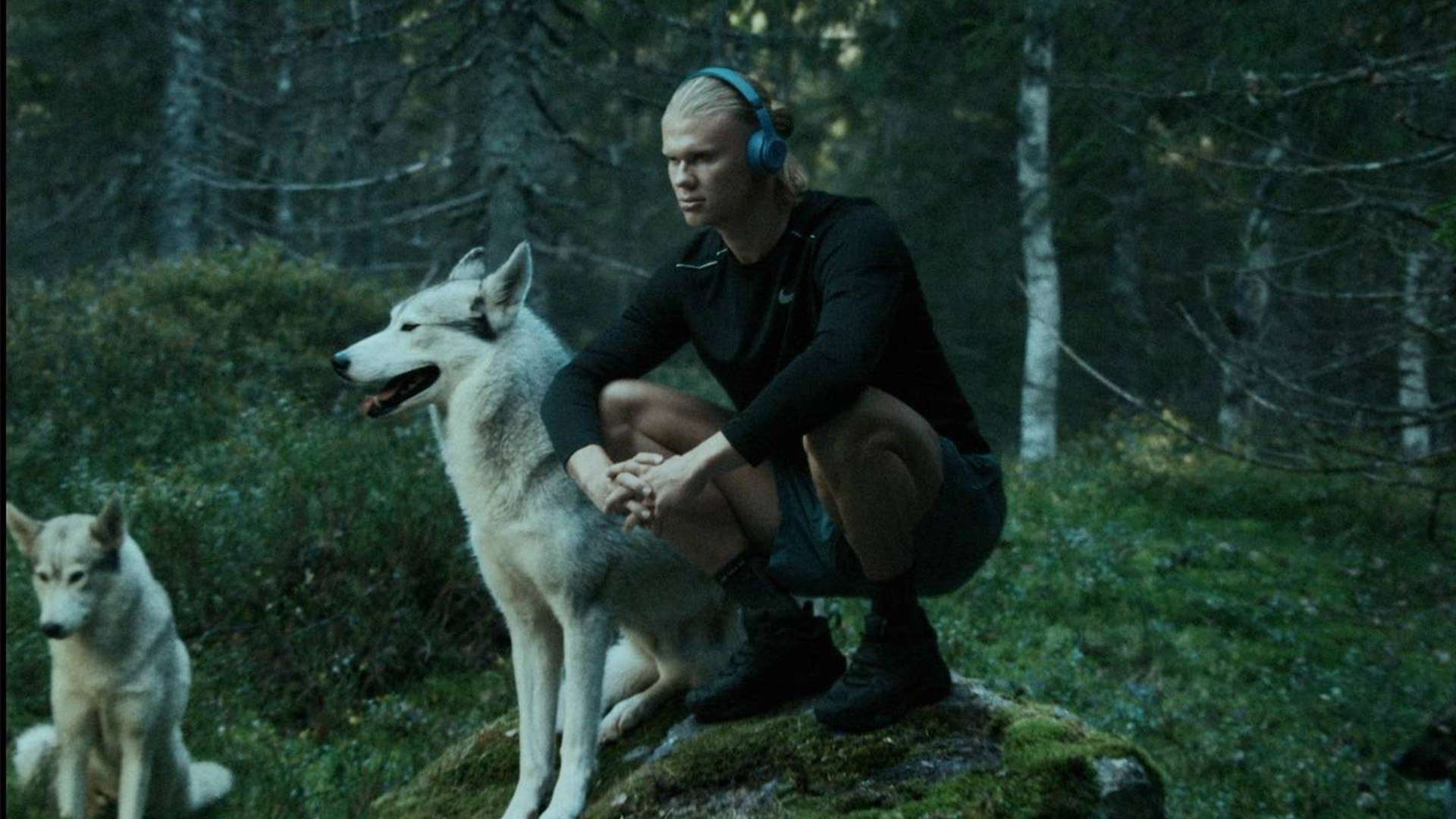 称作是F 称作是F