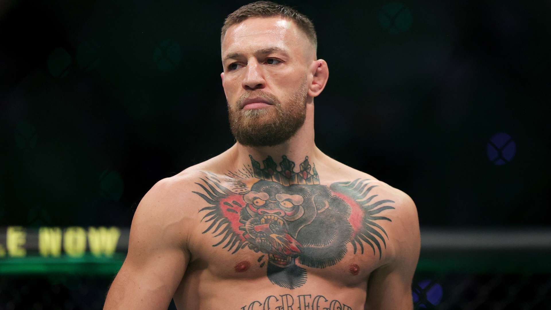 以至于在与 以至于在与